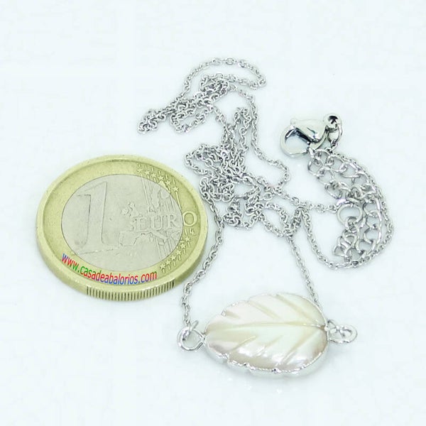 Cadena y Colgante Con Concha Nacar T31C-1