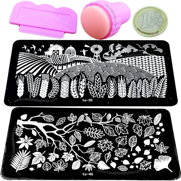 Kit Placa y Sello Para Decorar Uñas 120x60mm Nº 35 - 46