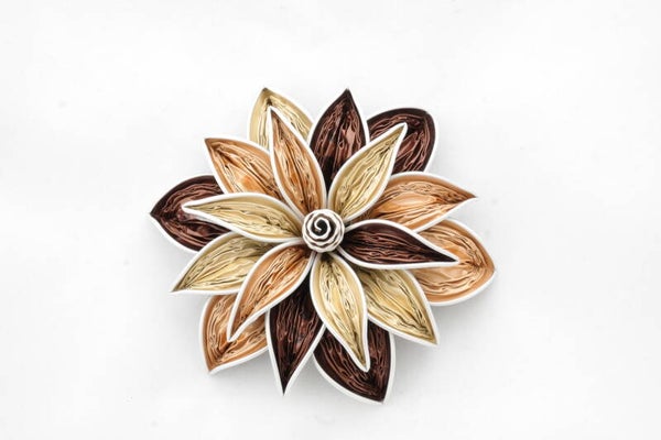 6 sterbloem chocoladebom donker-licht new