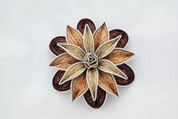 6 sterbloem chocolade donker-licht new