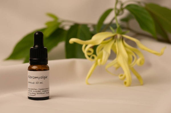 Fibromyalgie serum 10 ml