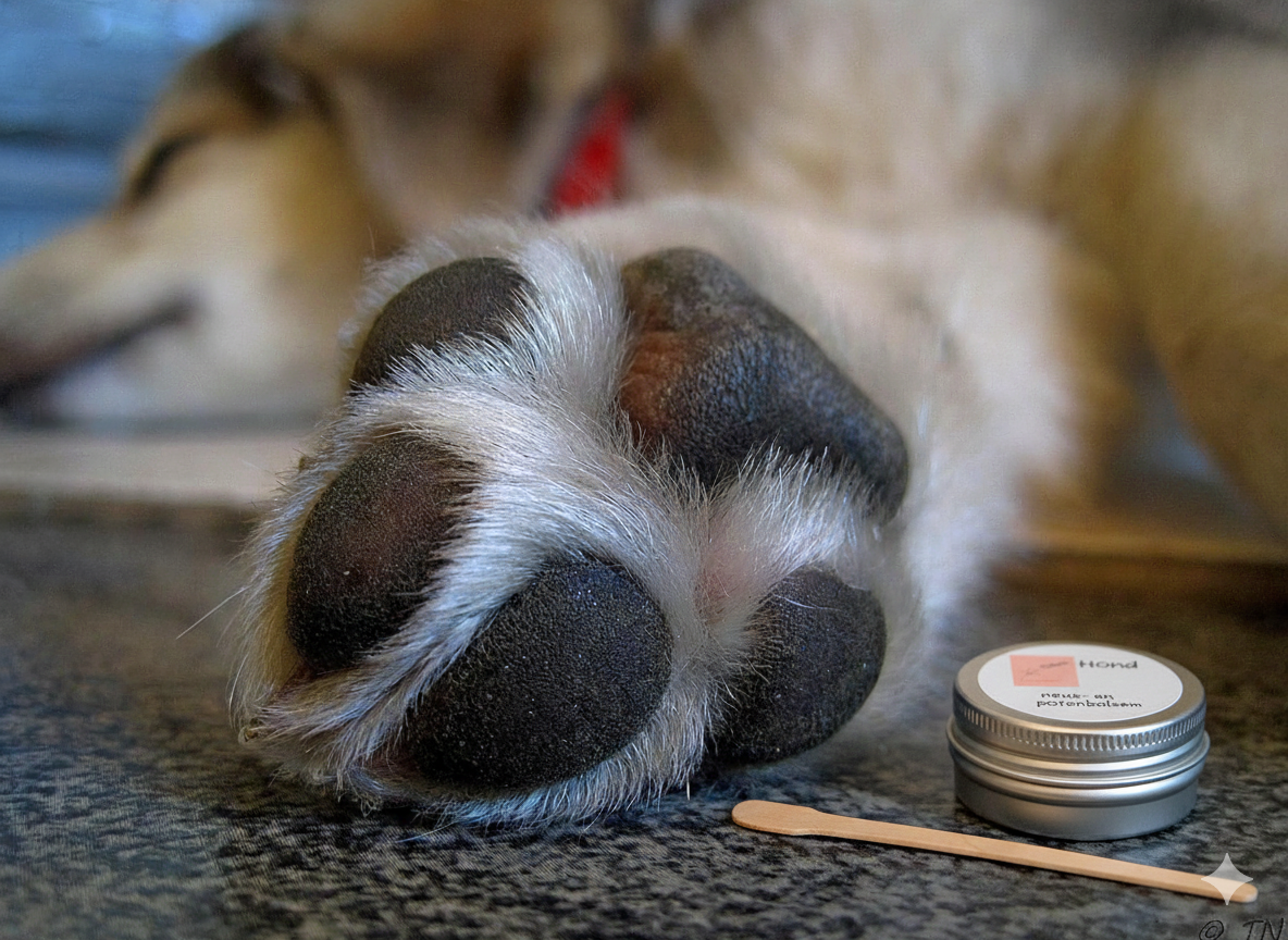 Hond Neus- en potenbalsem