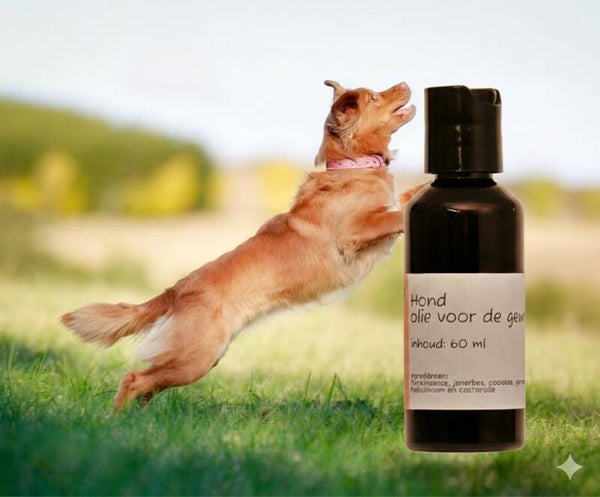Olie voor de gewrichten van de hond