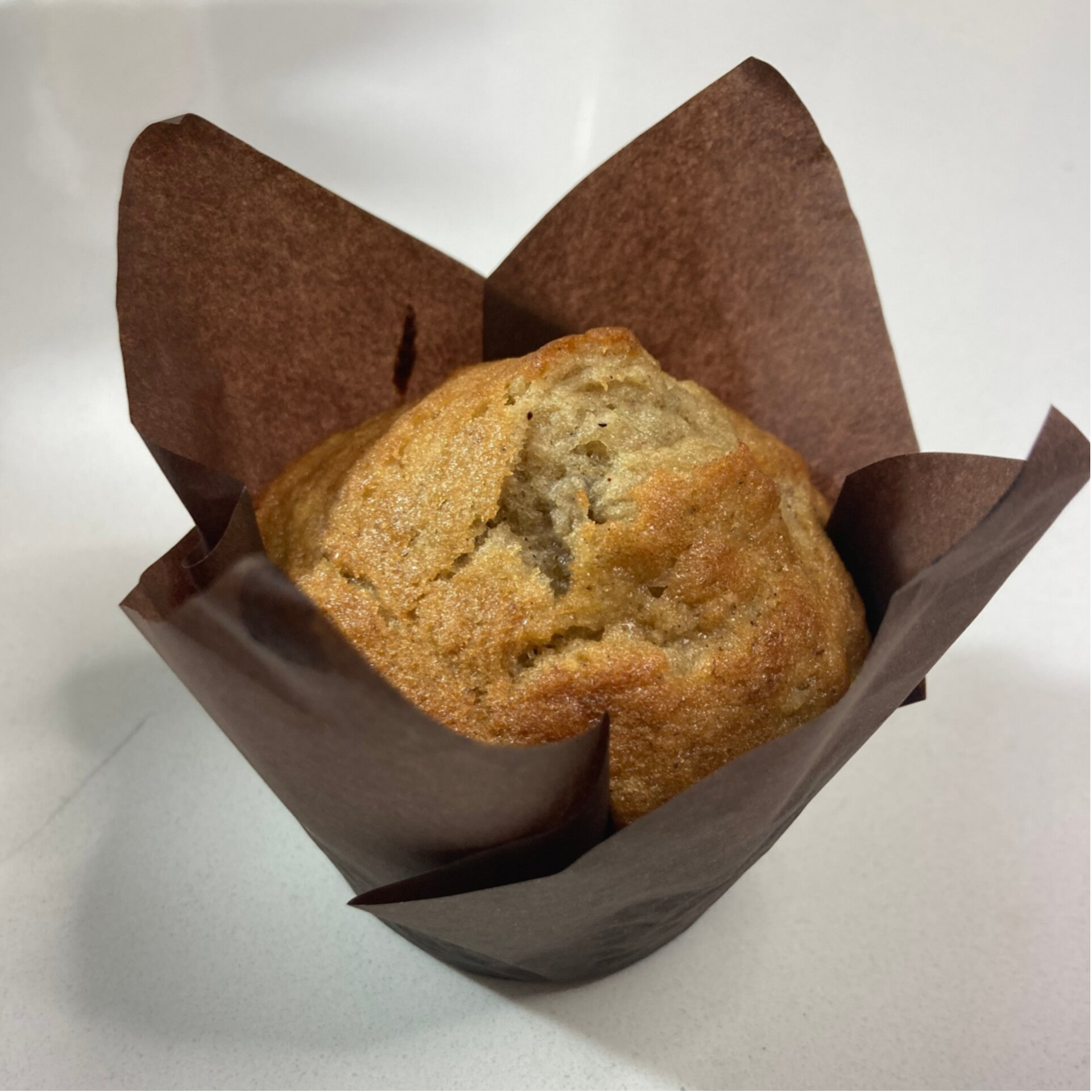 Carrot or Banana Muffins