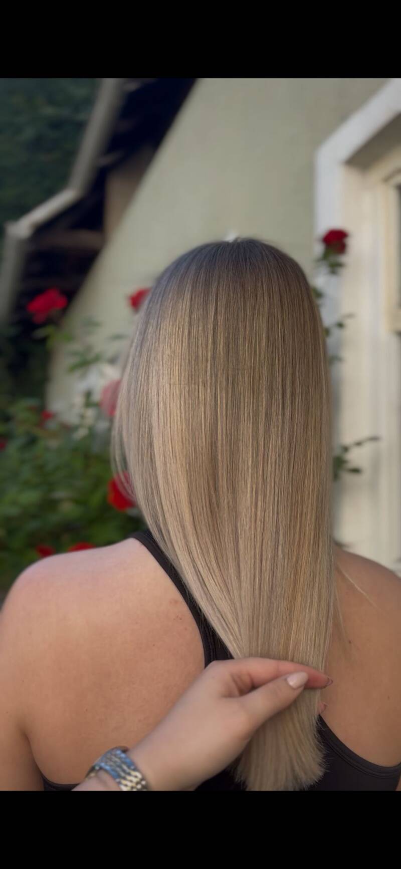 meli-standard.jpg