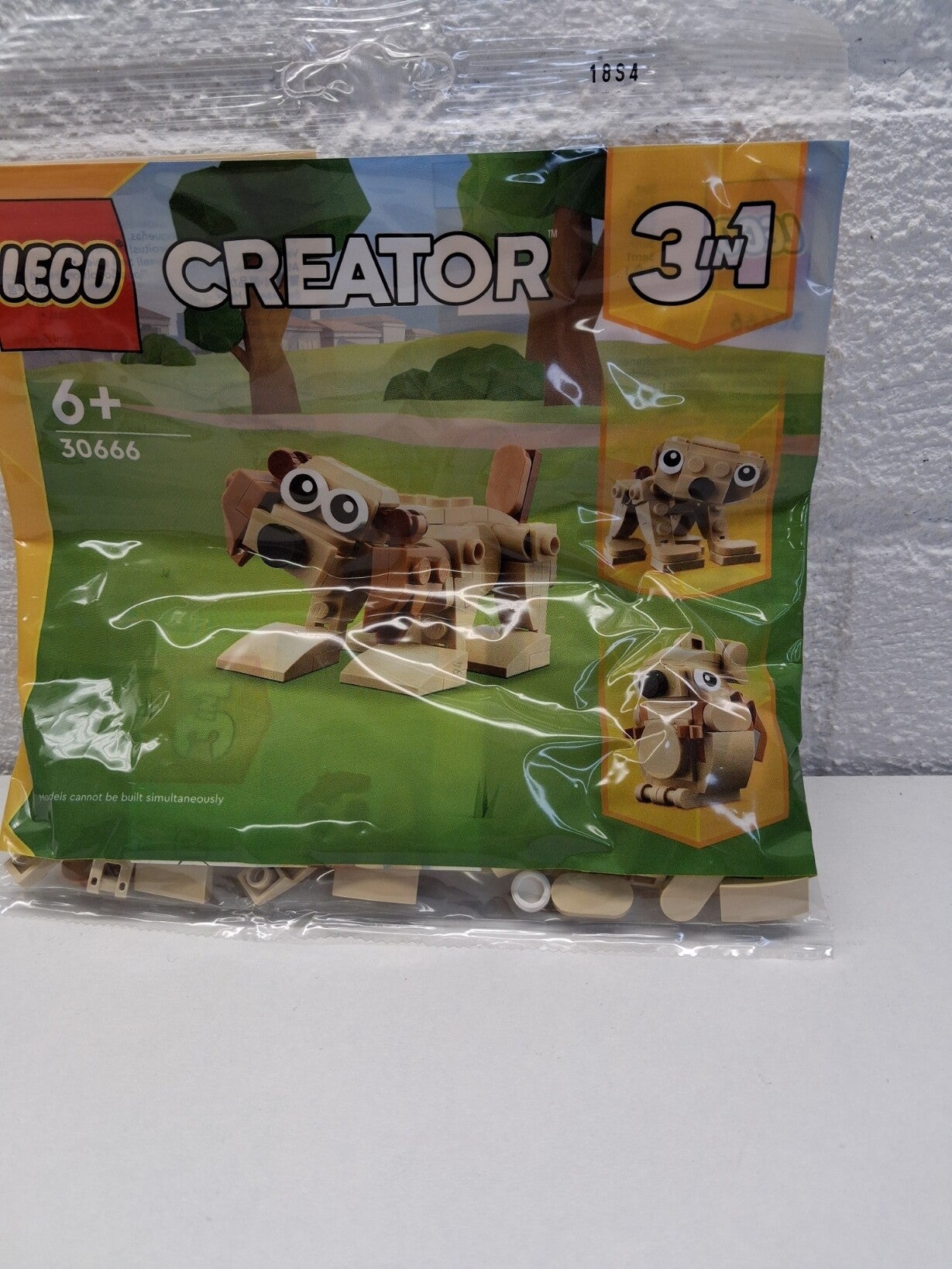 Creator Gift animal dog