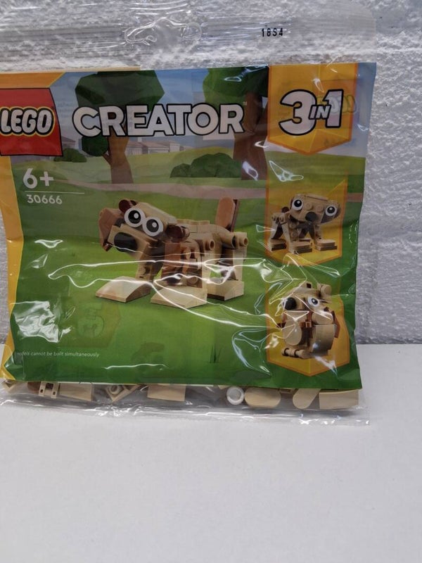 Creator Gift animal dog
