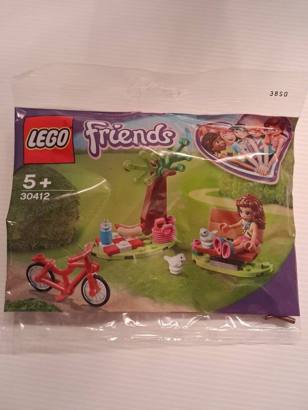 Friends Park Picknick (Parc Picnic)