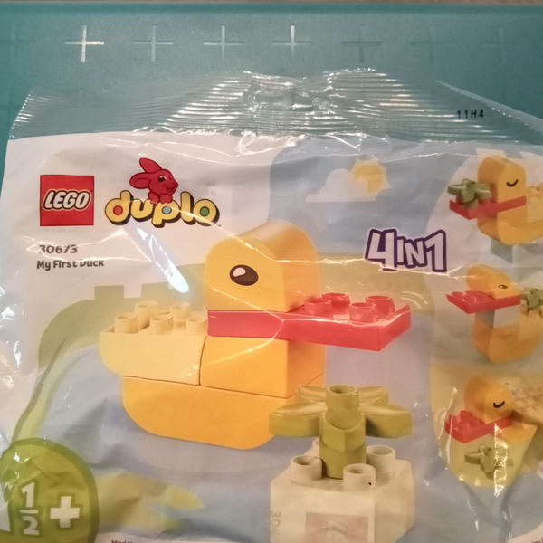 Duplo My first duck