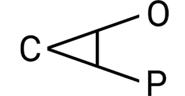 9e ontmoeting DSG Leiderschap d.d. 29 mei 2024