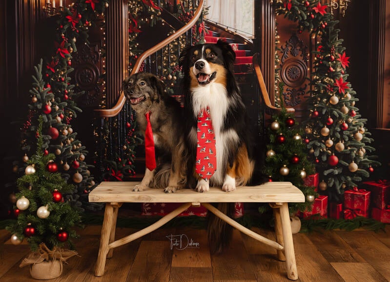 kind fotograaf deerlijk waregem belgie kinderfotografie gezinsfotografie familiefotografie kinderfotografie kinderen kerst kerstfotografie christmas newyear