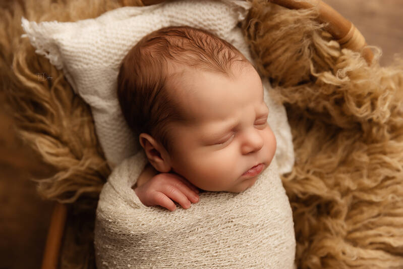 Newborn fotograaf deerlijk waregem belgie