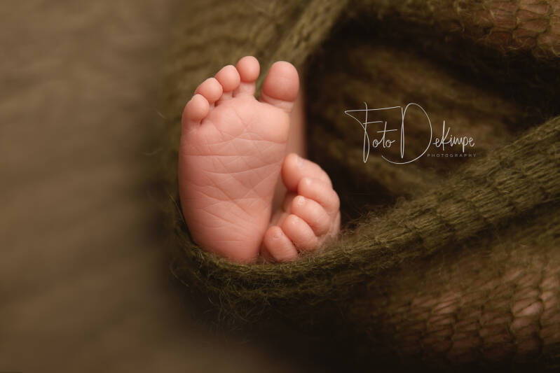 newborn