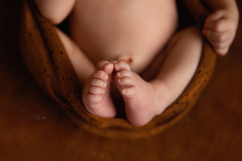 Newborn fotograaf deerlijk waregem belgie