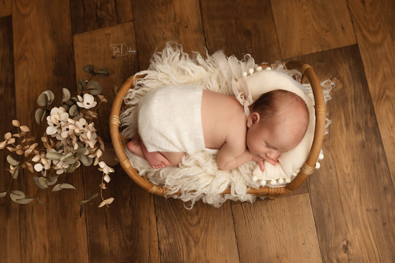 Newborn fotograaf deerlijk waregem belgie