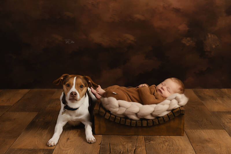 Newborn fotograaf deerlijk waregem belgie