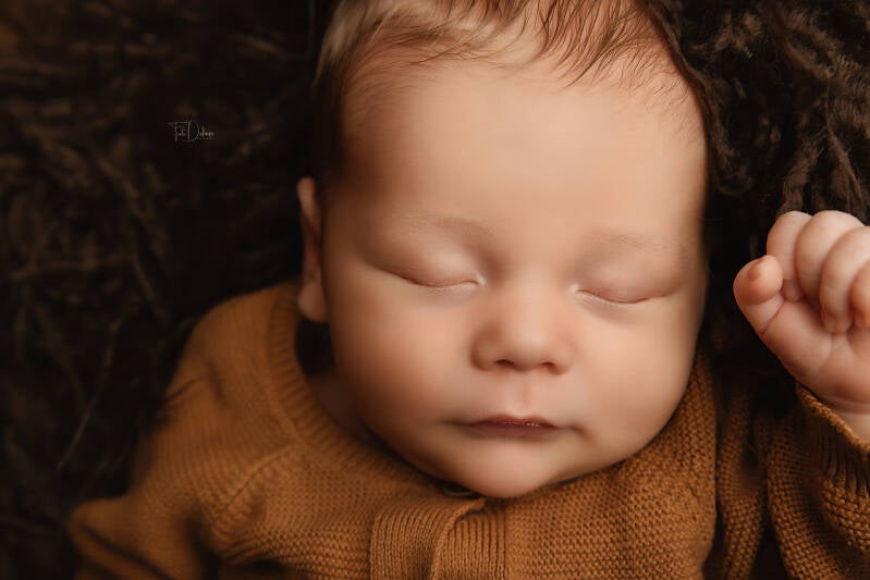 Newborn fotograaf deerlijk waregem belgie