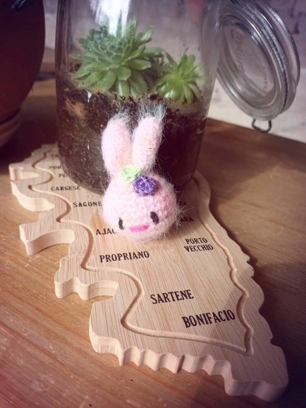 Broche lapin