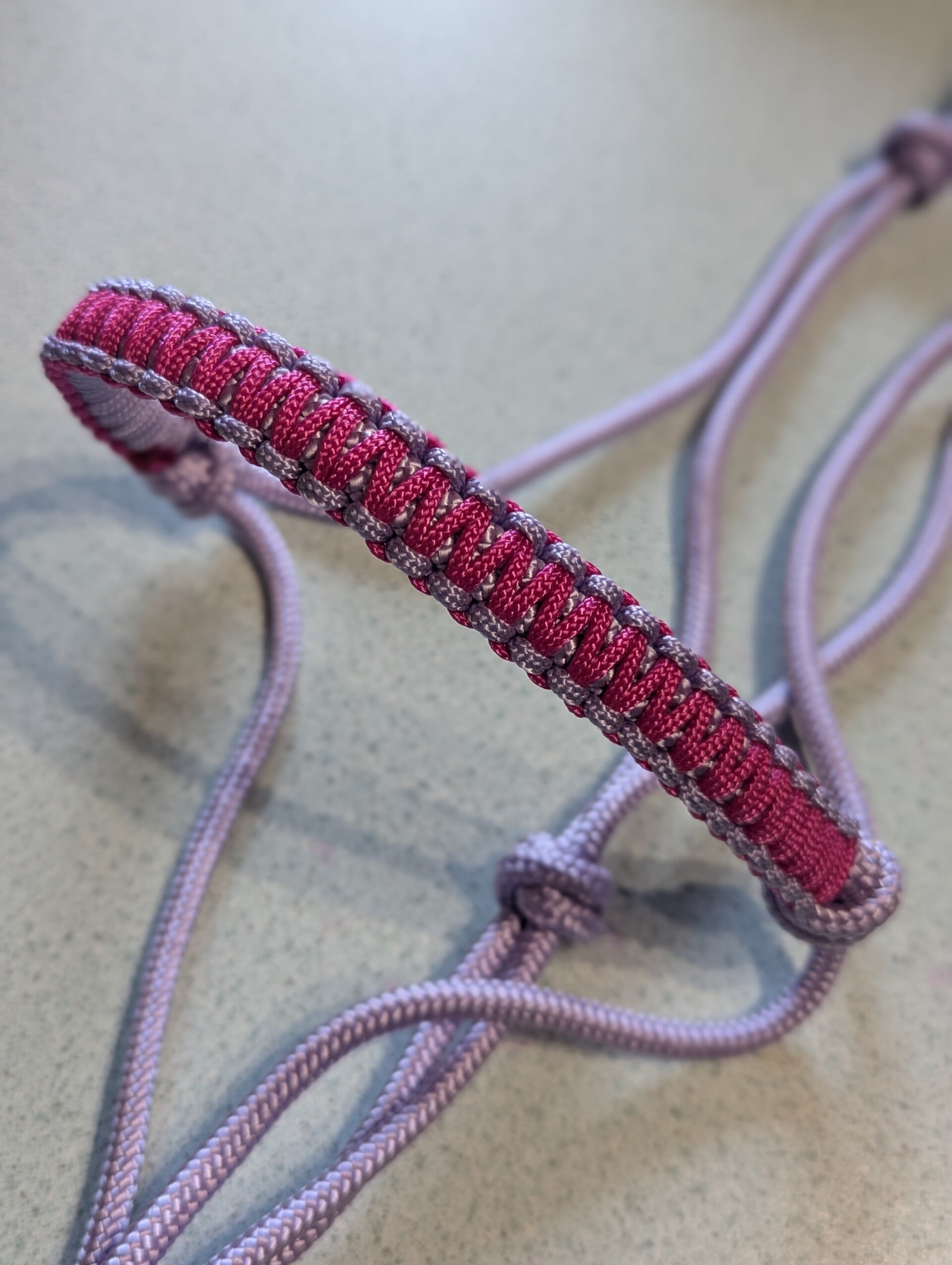 Licol tressé zigzag lilas
