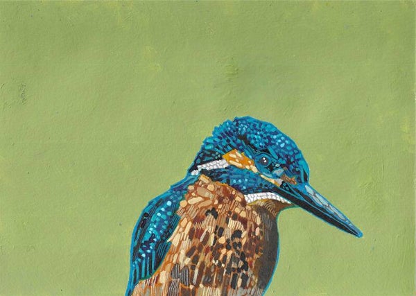 Kingfisher