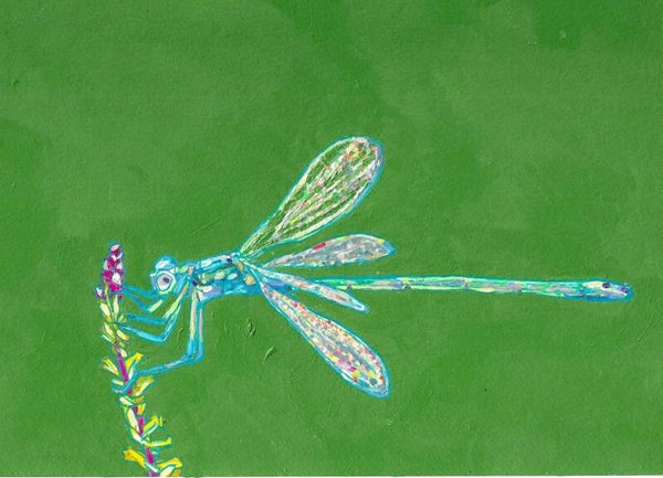 Evinrude The Dragonfly