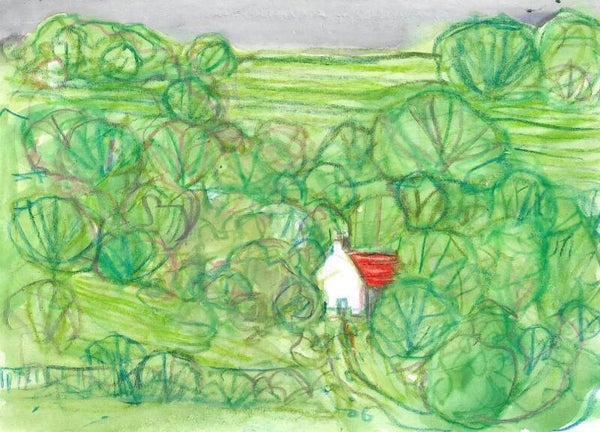 Postcard 13
