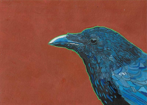 Crow