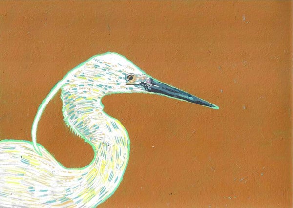Egret