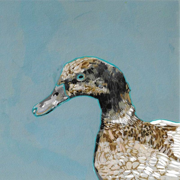 Frank The Duck