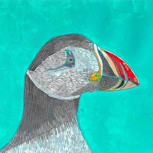 Puffin