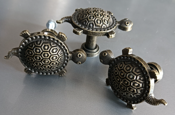 Knop Schildpad