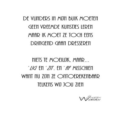 vlinders-standard.jpg