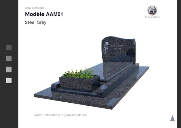 AAM 01