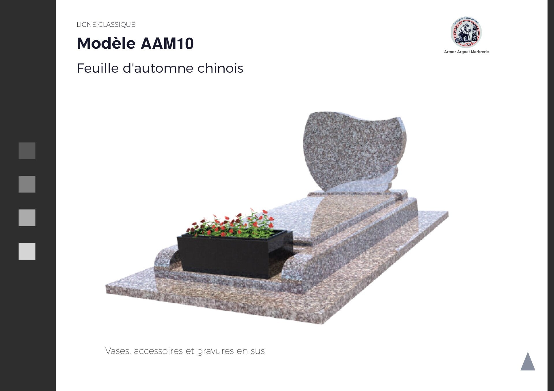 AAM10