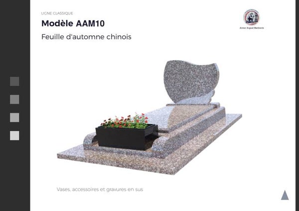 AAM10
