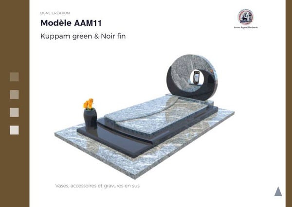 AAM11