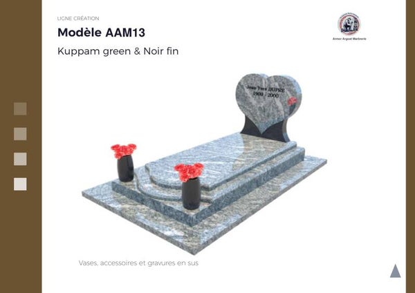 AAM13