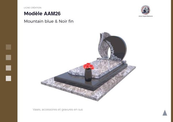 AAM26