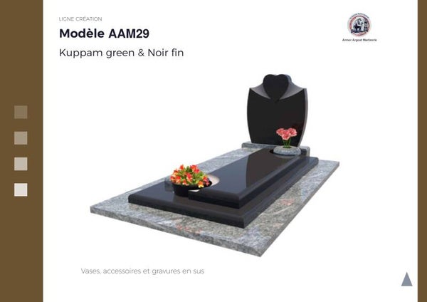 AAM29