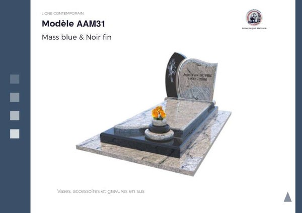 AAM31