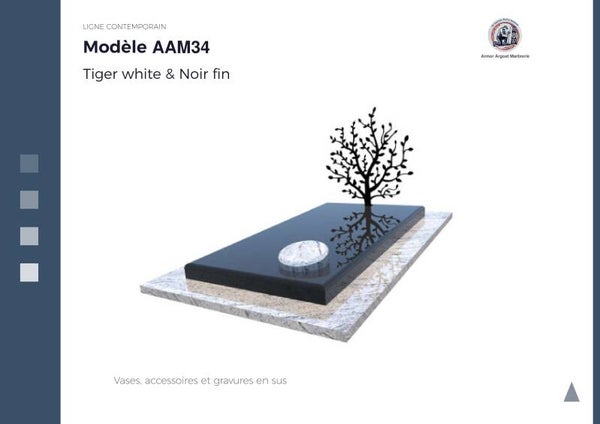 AAM34