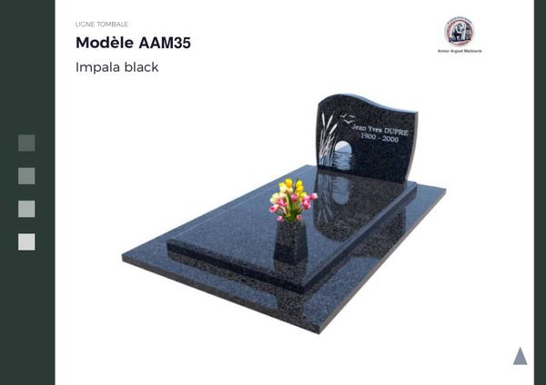 AAM35