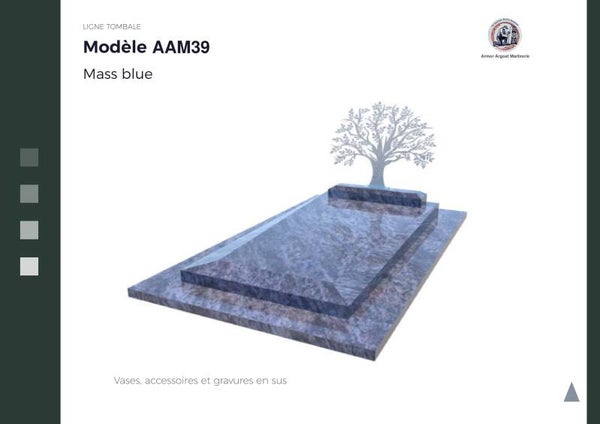 AAM39