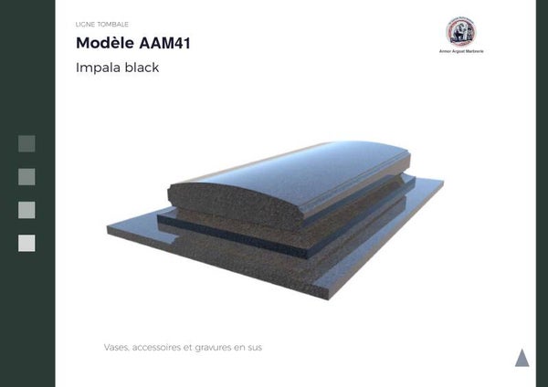 AAM41