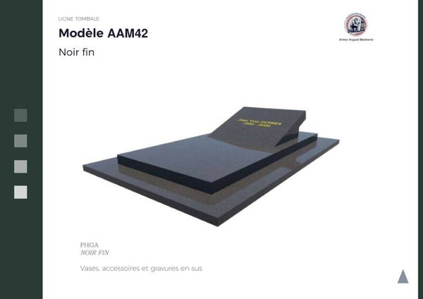 AAM42