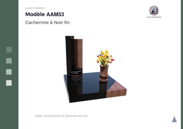 AAM53