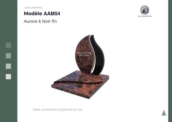 AAM54
