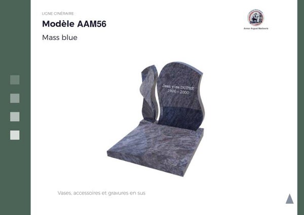 AAM56
