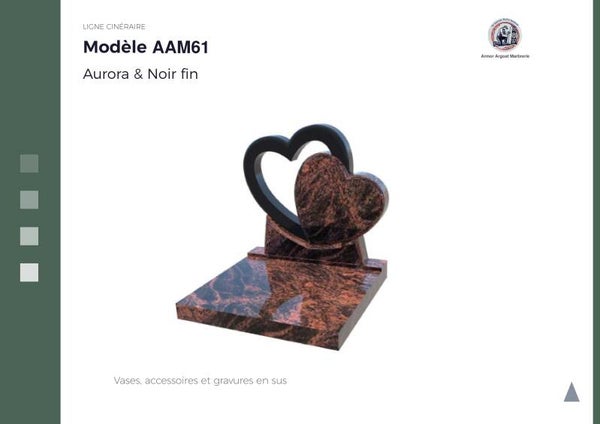 AAM61