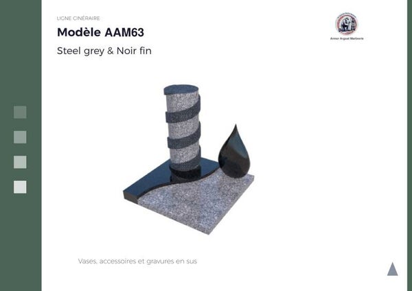AAM63